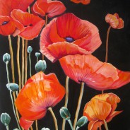 Dancing Poppies