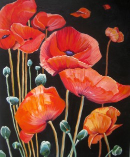 Dancing Poppies