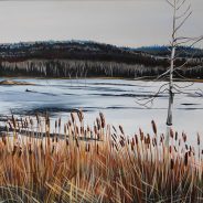 Cattails and Beaver Dams